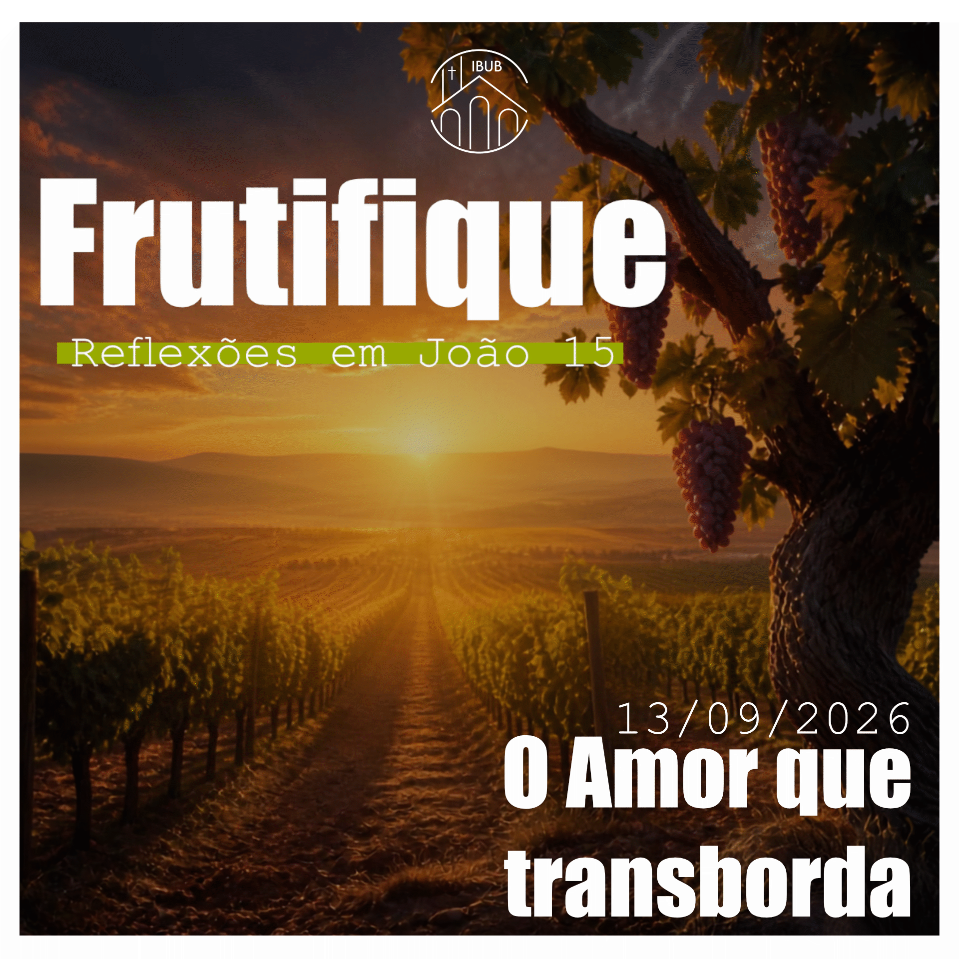 InSight Bíblico